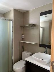 Forestville (D25), Condominium #594851271